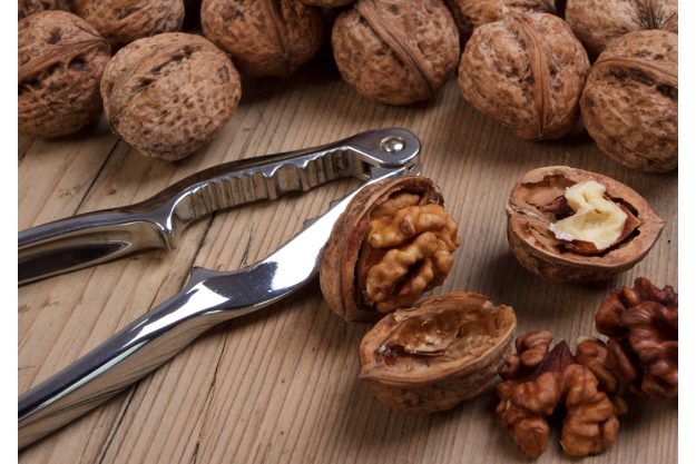 Kochkurs Wien – Walnüsse