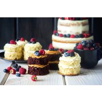 Backkurs Wien –Biscuit Törtchen