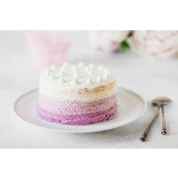 Backkurs Wien – Torte in Ombre Optik