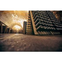 Champagner-Tasting in Wien – Weinkeller