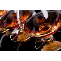 Cognac-Tasting Wien – Cognac im Glas