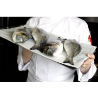 Fisch-Kochkurs Wien – Julian Kutos mit Dorade