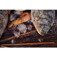 Geschenk-Gutschein-Kochkurs – Fisch-Kochkurs