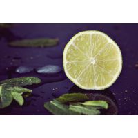 Gin-Tasting Wien – Geschnittene Limette