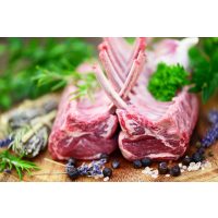 gourmet-kochkurs-wien-lamm-roh