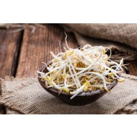 Kochkurs Wien – Mungosprossen