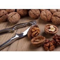 Kochkurs Wien – Walnüsse