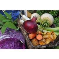 Kulinarische Stadtfuehrung Wien – Gemuesekorb