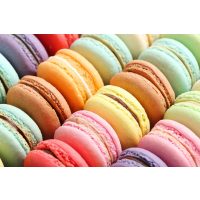 Macarons-Backkurs Wien: alle Farben des Regenbogens