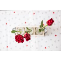 Paarkochkurs Wien rote Rosen