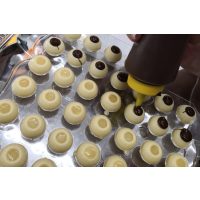 Pralinenkurs Wien – Pralinen befüllen