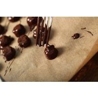 Pralinenkurs Wien – frische Pralinen