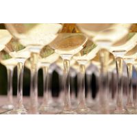 Schaumwein-Tasting Wien – Champagner in Gläsern