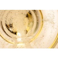 Schaumwein-Tasting Wien – Champagner von oben
