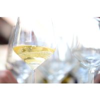 Schaumwein-Tasting Wien – Frizzante im Glas 