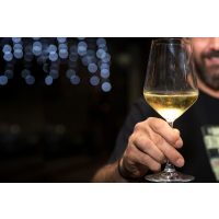 Schaumwein-Tasting Wien – Mann mit Schaumwein