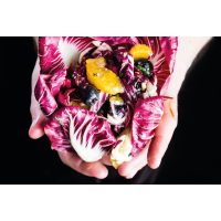 Vegetarischer Kochkurs Wien – vegetarischer Salat