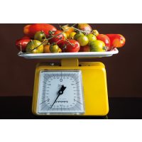 Vegetarischer Kochkurs Wien – Waage mit Tomaten