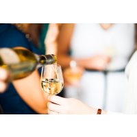 Weinseminar Wien – Chardonnay einschenken