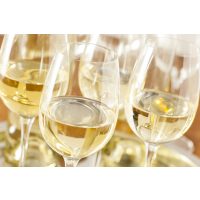 Weinseminar Wien – italienischer Weißwein