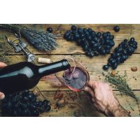 Weinseminar Wien – Rotwein Naturwein