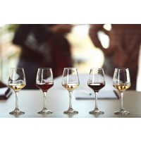 Weinseminar Wein – Wein in einer Reihe