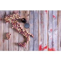 Weinseminar Wien – italienischer Wein