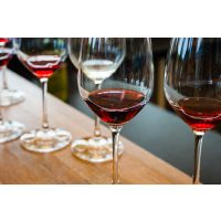 Weinseminar Wein – Weine vergleichen