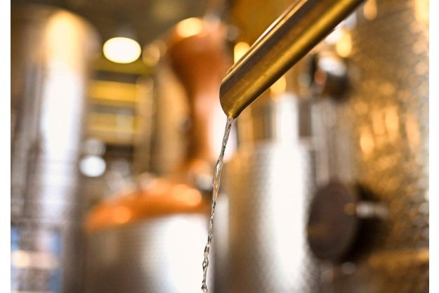 Gin-Tasting Salzburg der beste Gin