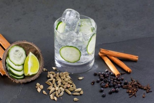 Gin-Tasting Salzburg Gin mit Aromen