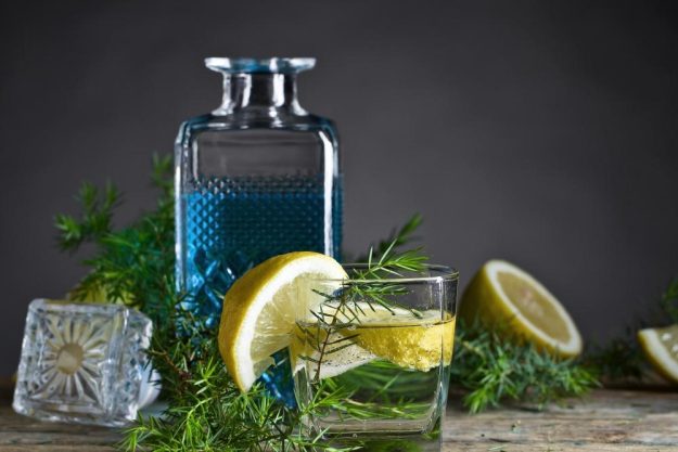 Gin-Tasting Salzburg der beste Gin Tonic