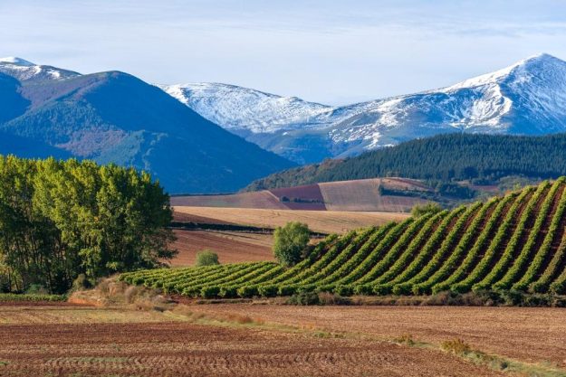 Wein-Tasting Salzburg – Weingegend in Spanien