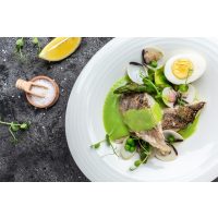 Fisch-Kochkurs Wien – Zander