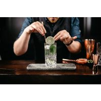Gin-Tasting Salzburg die besten Gins Österreichs