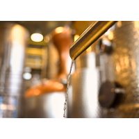 Gin-Tasting Salzburg der beste Gin