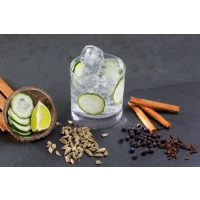 Gin-Tasting Salzburg Gin mit Aromen