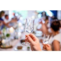 Gin-Tasting Salzburg – Gin trinken