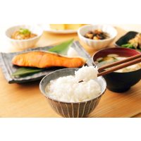 Japan-Kochkurs Wien - Reis mit Lachs