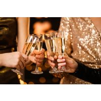 JGA Wien – zusammen Champagner trinken