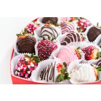 JGA Wien – Schoko-Früchte