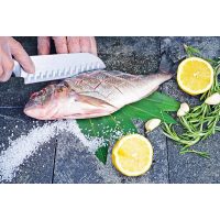 Kochkurs Wien – Fisch richtig filetieren
