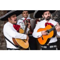 Online Burrito-Kochkurs: Mexiko-Feeling