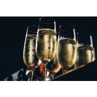 Schaumwein-Tasting Salzburg – gefüllte Sektgläser