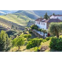 Wein-Tasting Salzburg – Weinberg im Douro-Tal Portugal