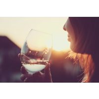 Weinseminar-Gutschein – Wein genießen mit Miomente