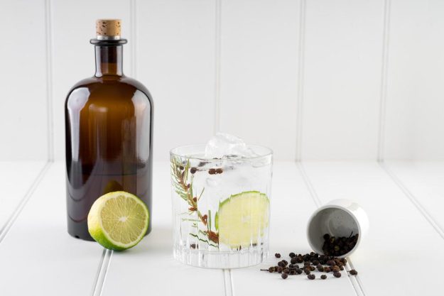 Gin-Tasting Salzburg – Gin Tonic 