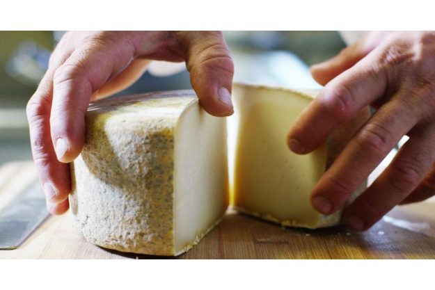 Käse-Seminar Salzburg: italienischer Hartkäse