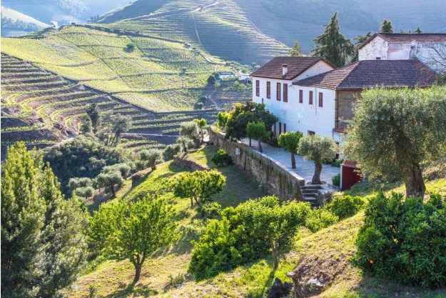 Wein-Tasting Salzburg – Weinberg im Douro-Tal Portugal