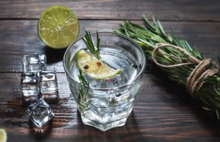 Gin-Tasting Salzburg Gin macht Spaß