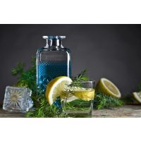 Gin-Tasting Salzburg der beste Gin Tonic